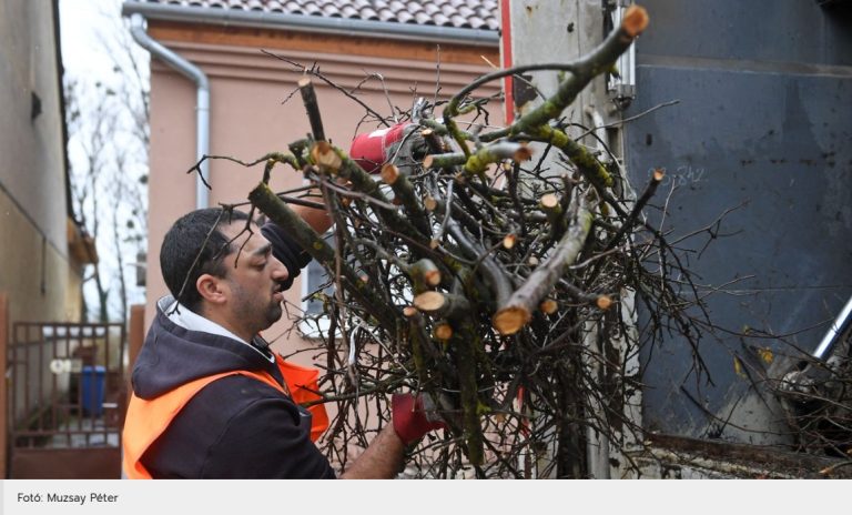 A kukásautóban landol a zöldhulladék