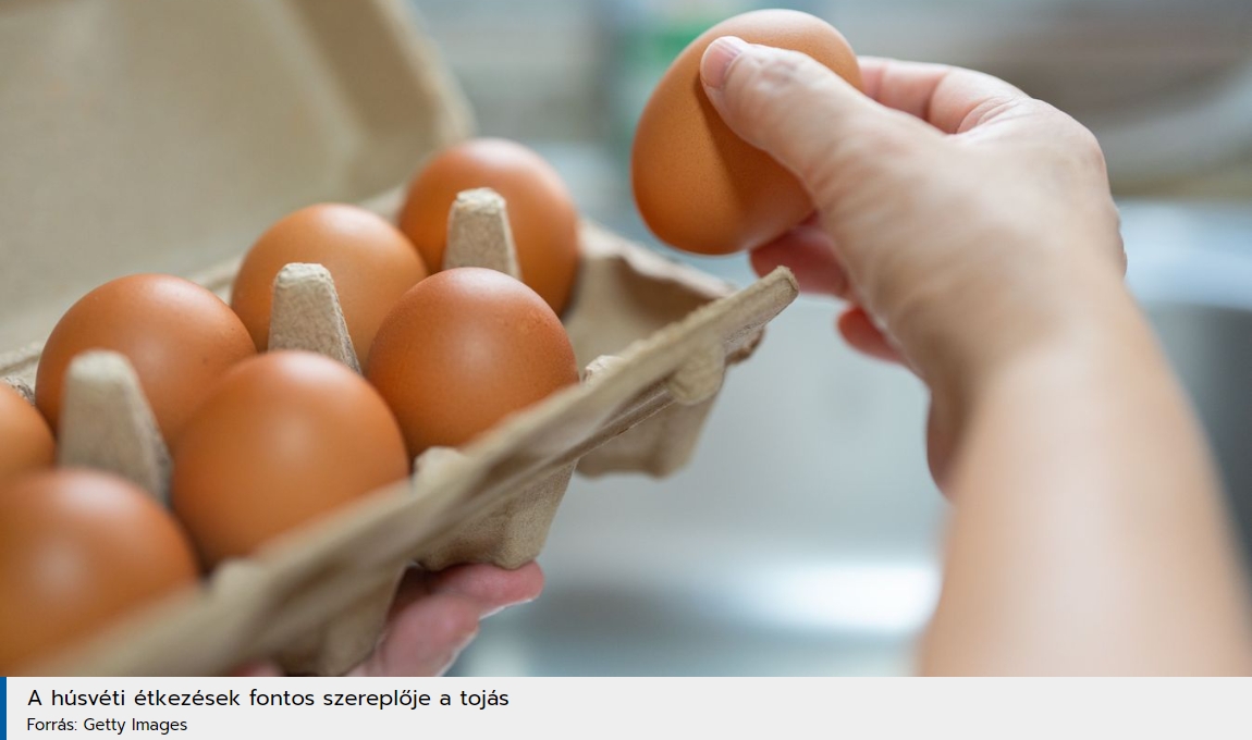 Csúnyán néz ki a főtt tojás? Mutatjuk, hogyan pucolja meg, hogy hibátlan legyen