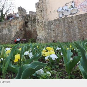 Egyedülálló Európában a pécsi városfal, mégsem ismerjük eléggé