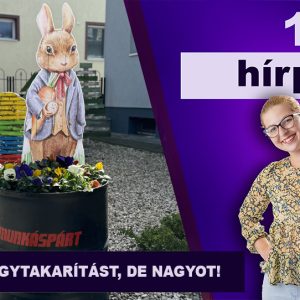 Tavaszi nagytakarítást, de nagyot!