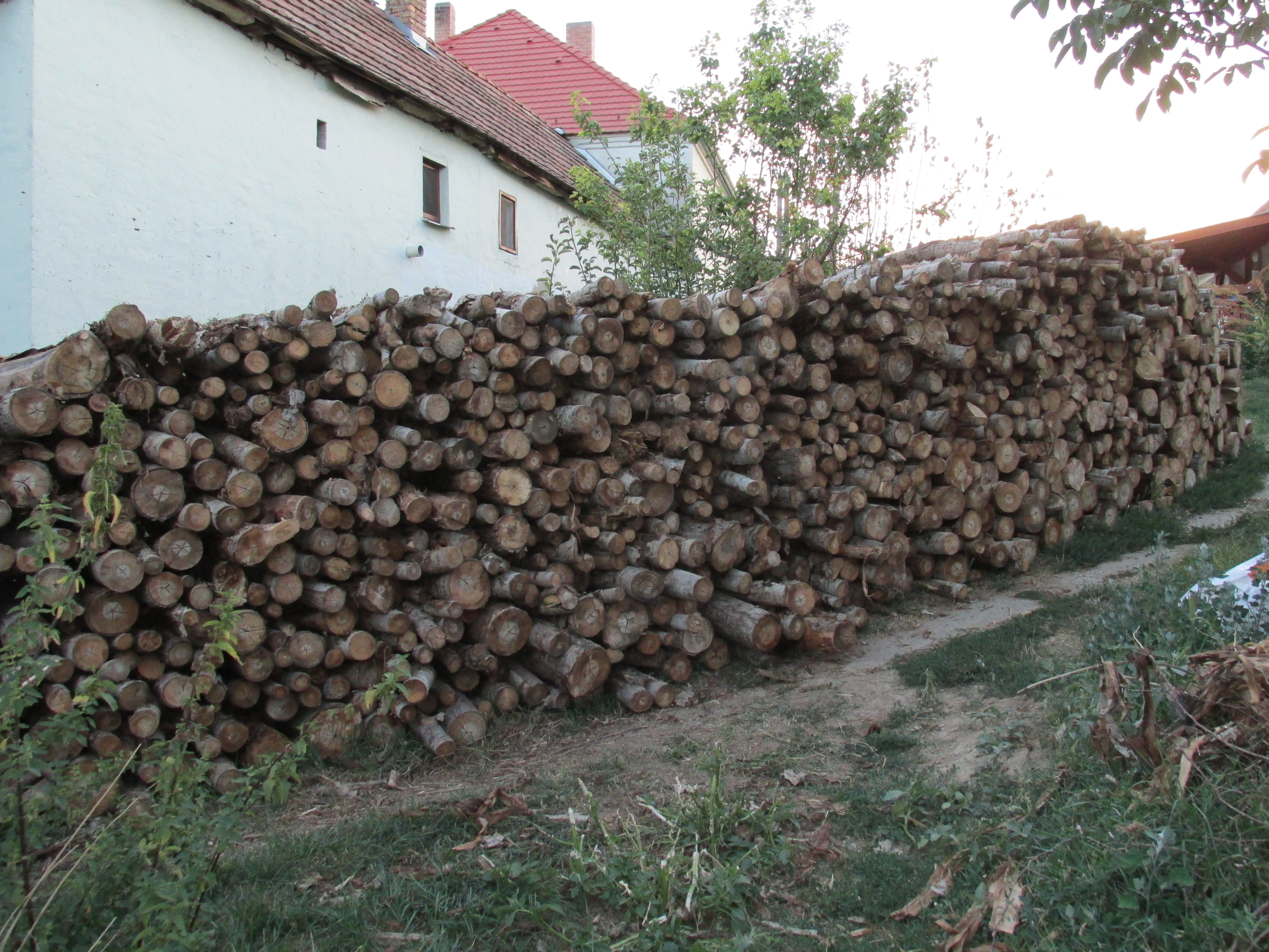 Végigdolgozzák a teljes nyarat, nagy az érdeklődés a diákmunka iránt