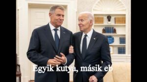 Egyik kutya, másik eb