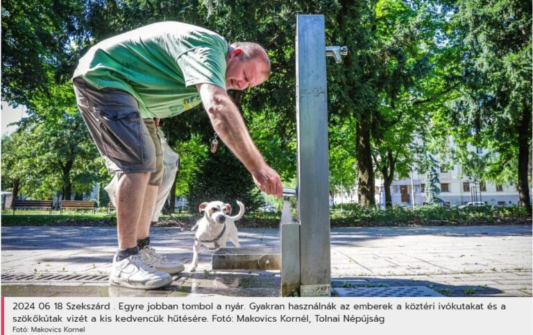 2024 06 18 Szekszárd . Egyre jobban tombol a nyár. Gyakran használnák az emberek a köztéri ivókutakat és a szökőkútak vizét a kis kedvencük hűtésére. Fotó: Makovics Kornél, Tolnai Népújság