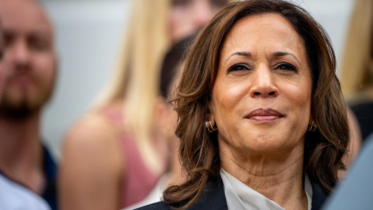 Amerikai elnökjelöltet választottak Németországban, Kamala Harris mögé állt az ország