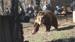 Az éj leple alatt figyelhetők meg a Pécs Zoo lakói