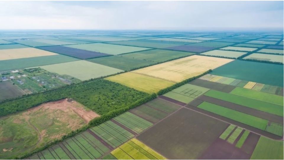 Csökkent a termőföld ára Ukrajnában