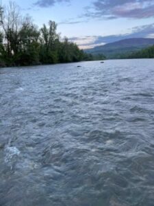 Ismét emberéletet követelt a Tisza