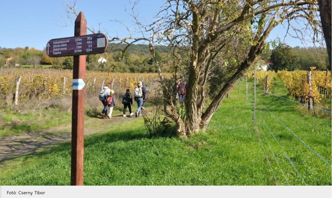 Közel 2600 kilométert tettek megy egy hétvége alatt