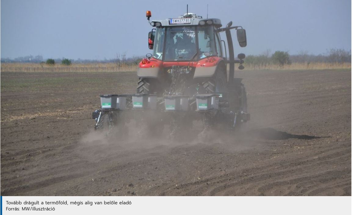 A kereslet nagyobb mint a kínálat