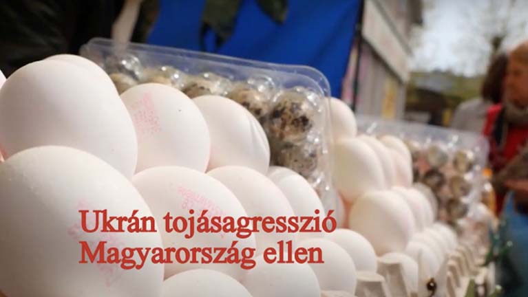 Ukrán tojásagresszió Magyarország ellen