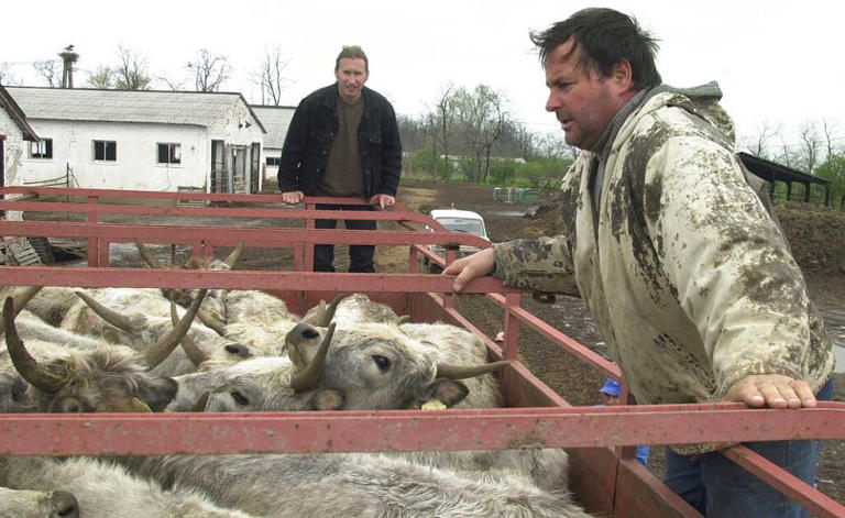 Hogyan alkalmazkodunk a klímaváltozáshoz, mit fogunk enni 10-20 év múlva