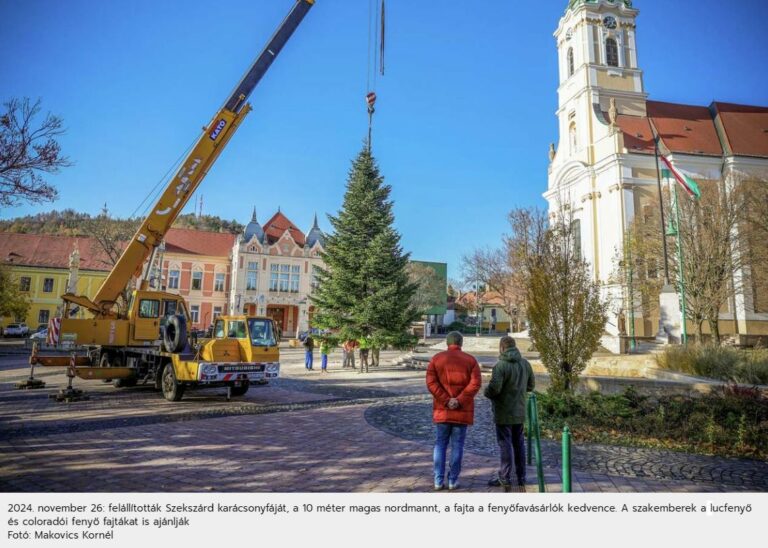 A fenyőfák a múlt évhez képest öt-tíz százalékkal drágulnak