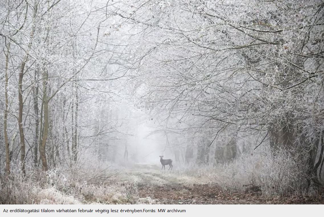 Kerülje el Gemencet, ha jót akar magának!