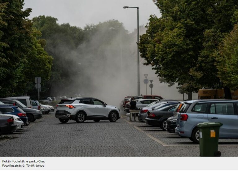 Kukák foglalják a parkolókat