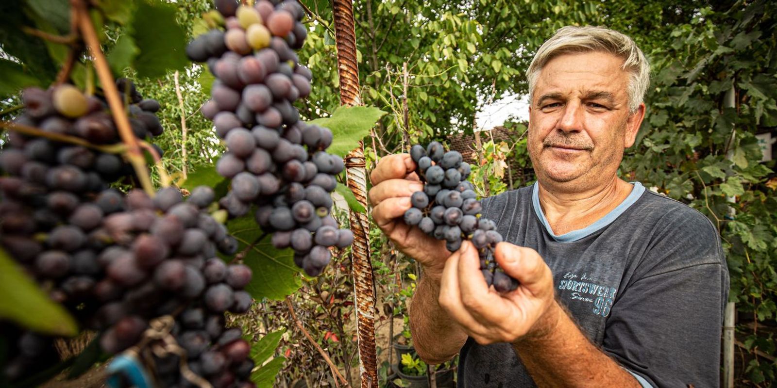 Borral durranthat nagyot Pécs