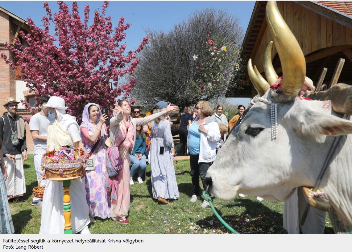 Somogyban is csatlakoznak a Nemzeti Faültetés Napjához
