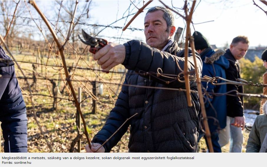 Egyszerűsített foglalkoztatás, alkalmi munka, mezőgazdasági idénymunka