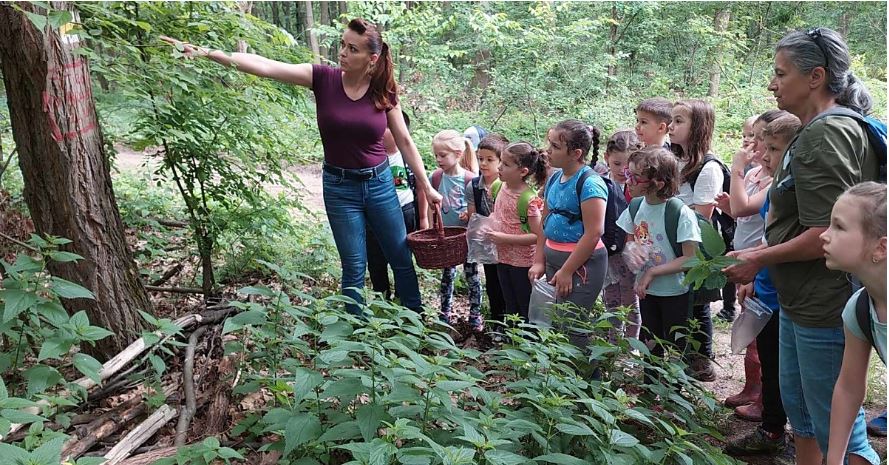 Nagyerdei Erdészeti Erdei Iskola