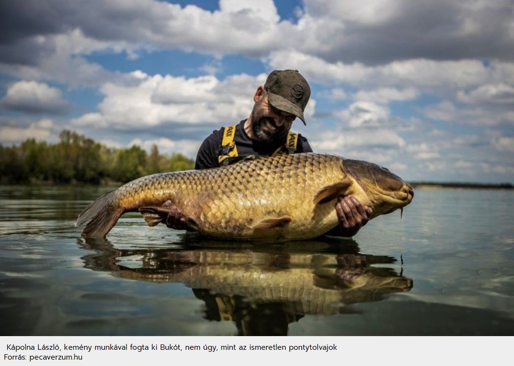 Pontytolvajok: hiába a súlyos bírság, egymás elől lopkodják ki a tavakból a halakat