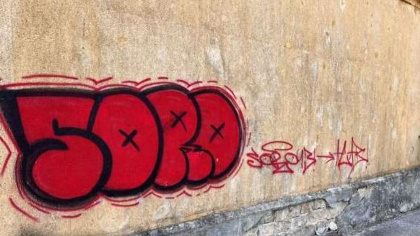 Fotó: Dr. Kutas Tamás