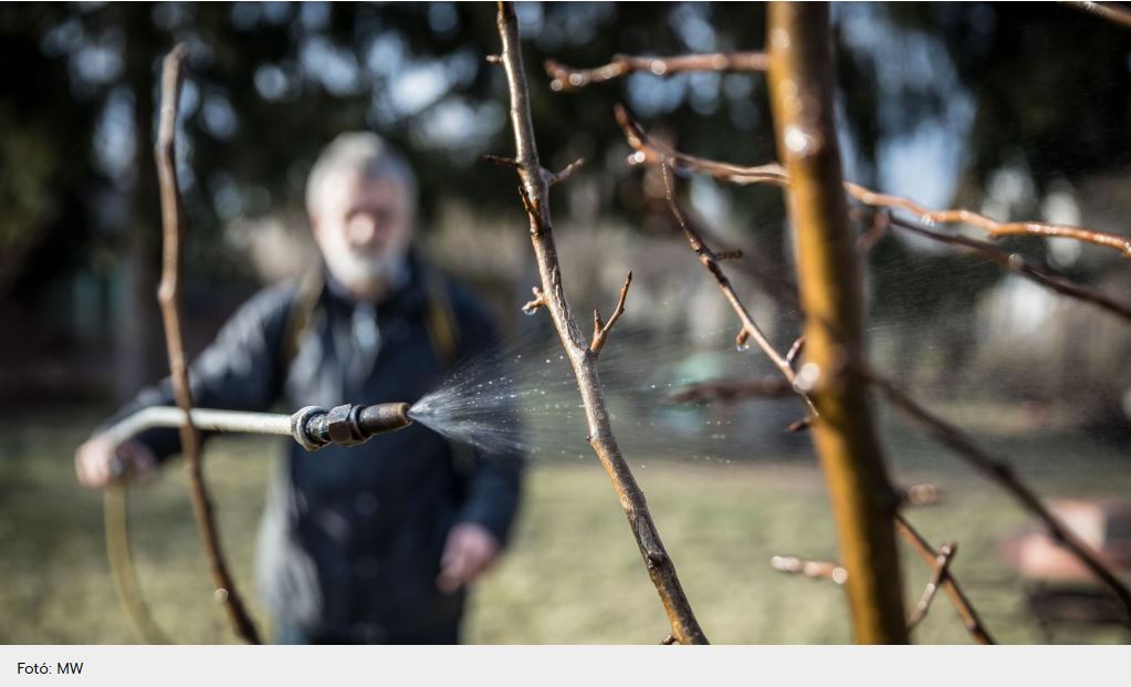 Egy kis odafigyeléssel elkerülhetők a gyakori problémák