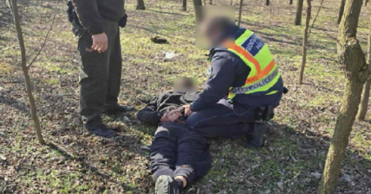 A rendőrök halőrökkel és mezőőrökkel közösen fogtak el két körözött férfit Hajdúböszörményben