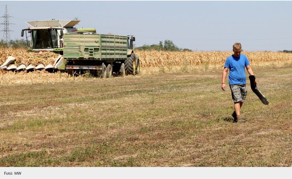 A termőföld felső rétege is teljesen ki van száradva