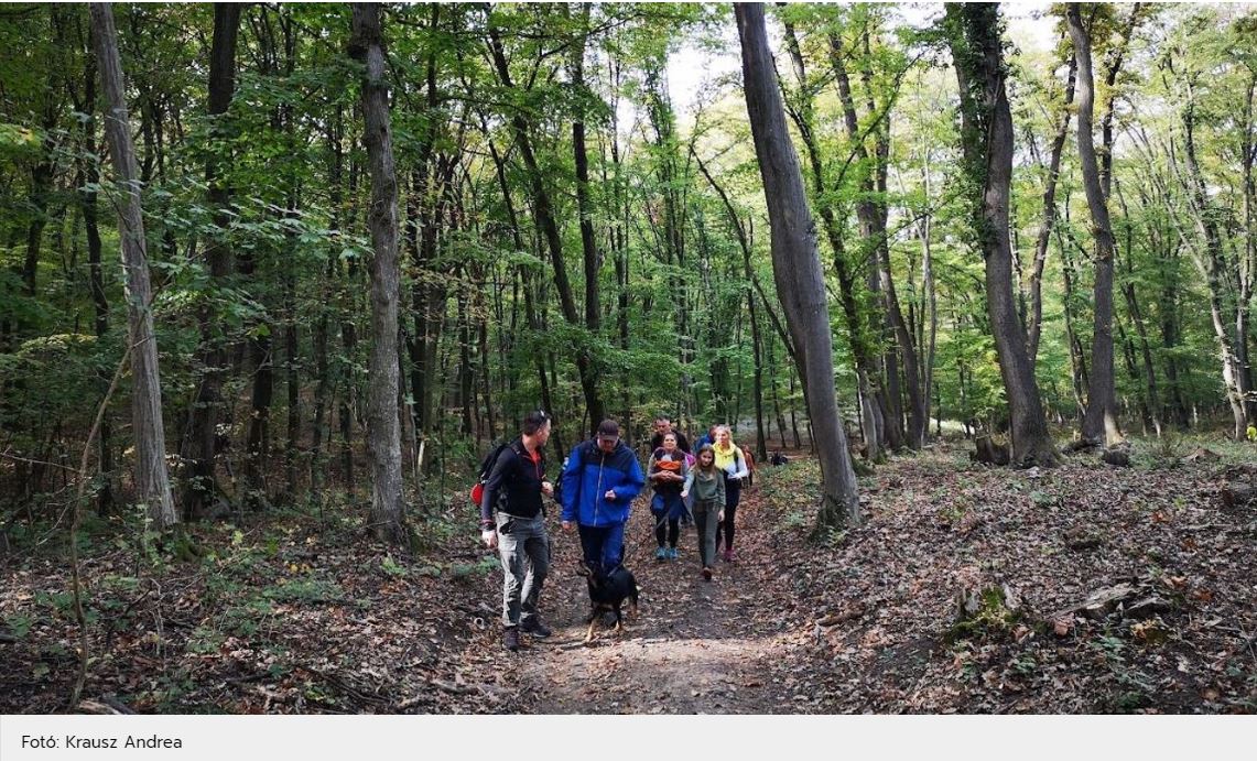 Összegyűjtöttünk néhány könnyű túraútvonalat a Balaton déli partján