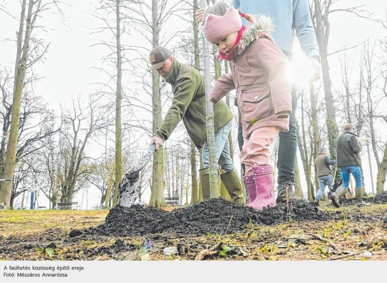 Ha eltűnnek a fák, a klíma is megváltozik