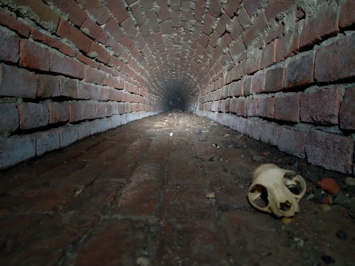 Titkos alagút húzódik Hőgyész alatt, a véletlen műve, hogy rábukkantak a legendák övezte járatrendszerre Fotó: Haász József