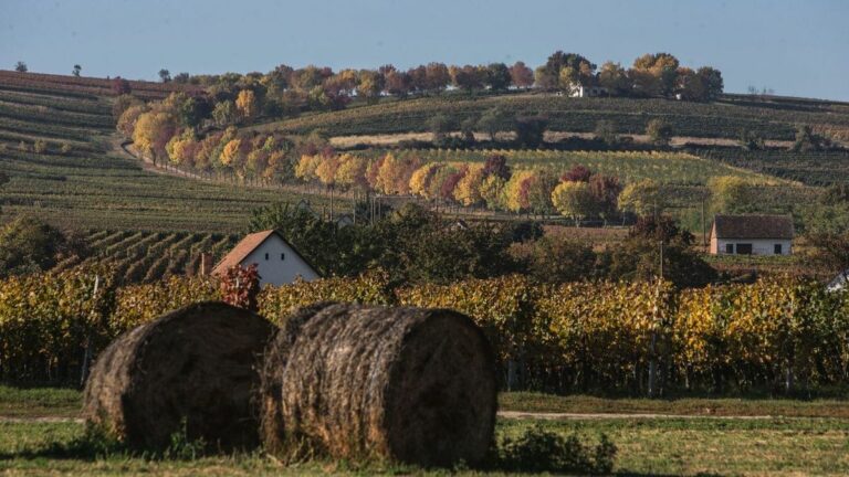 A hely jelenleg borászatként üzemel