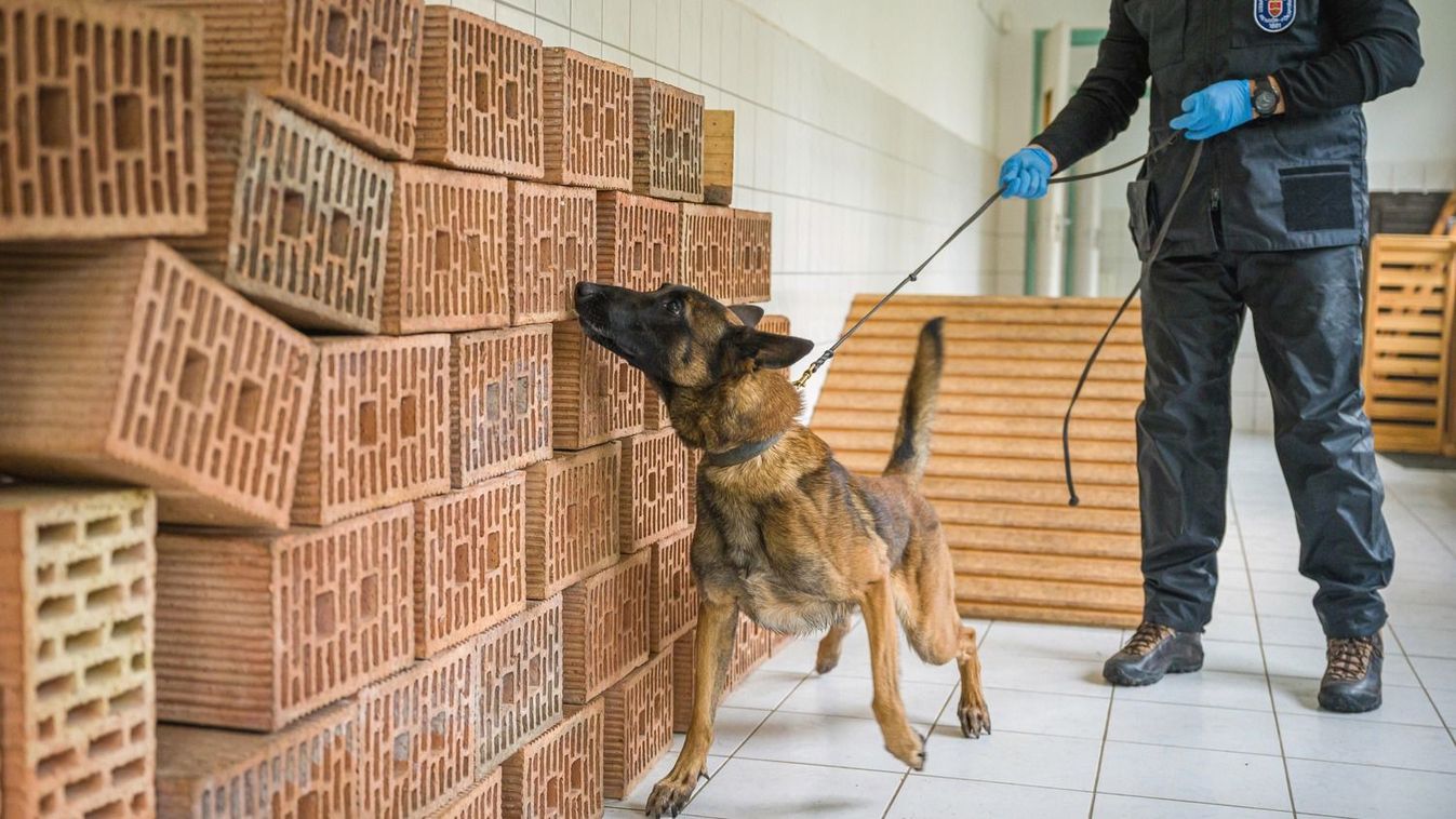 Nincs menekülés a dílereknek és a fogyasztóknak Forrás: Szabad Föld Fotó: Németh András Péter