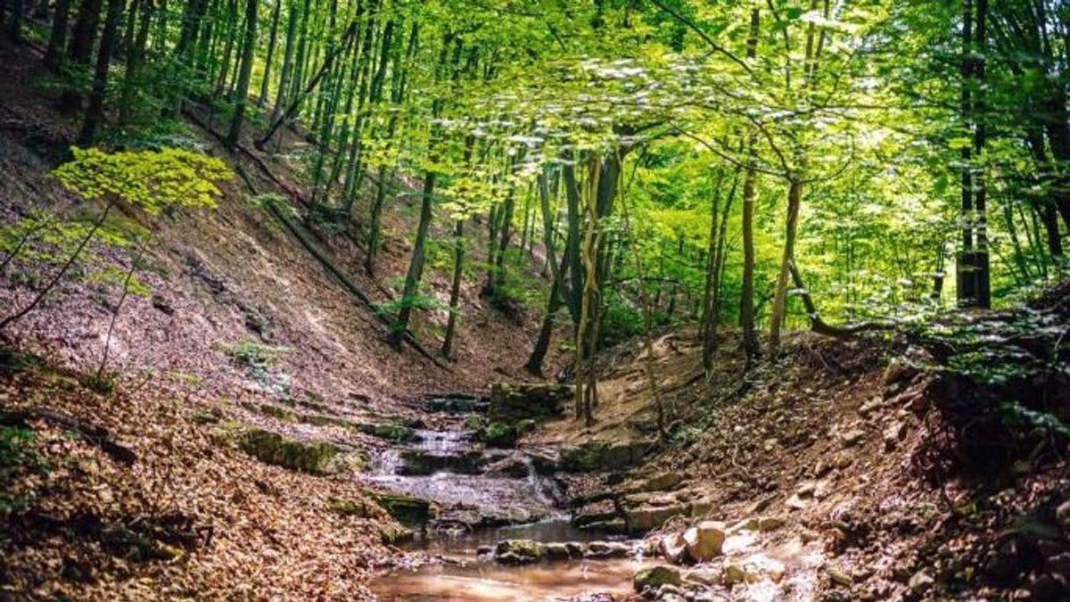 A Duna-Dráva nemzeti parkban több népszerű területet is lezártak Forrás: MW archívum