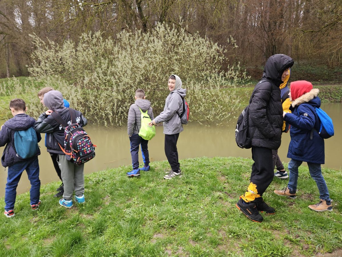 A gyönki kisdiákok az erdei túrán megpihentek egy tavacska mellett Fotó: Beküldött fotó