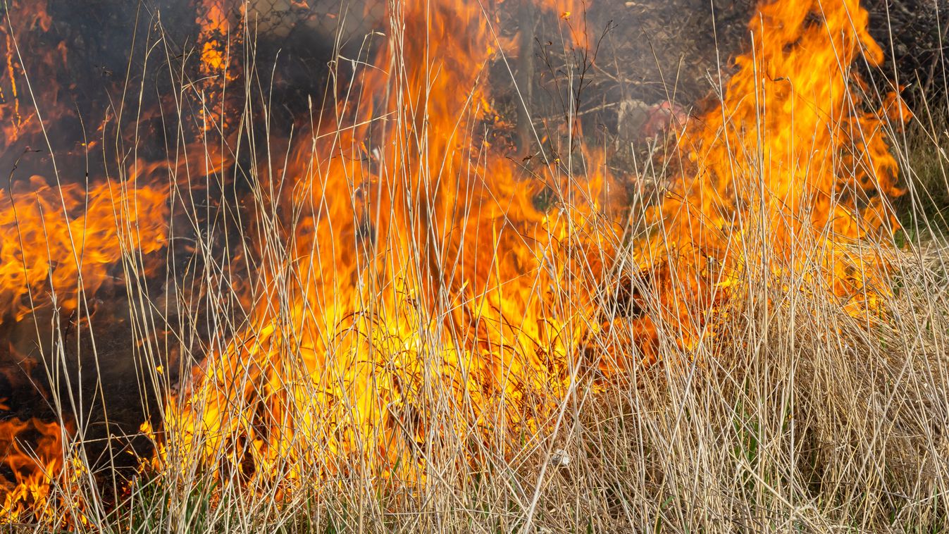 Illusztráció. Fotó: olko1975
