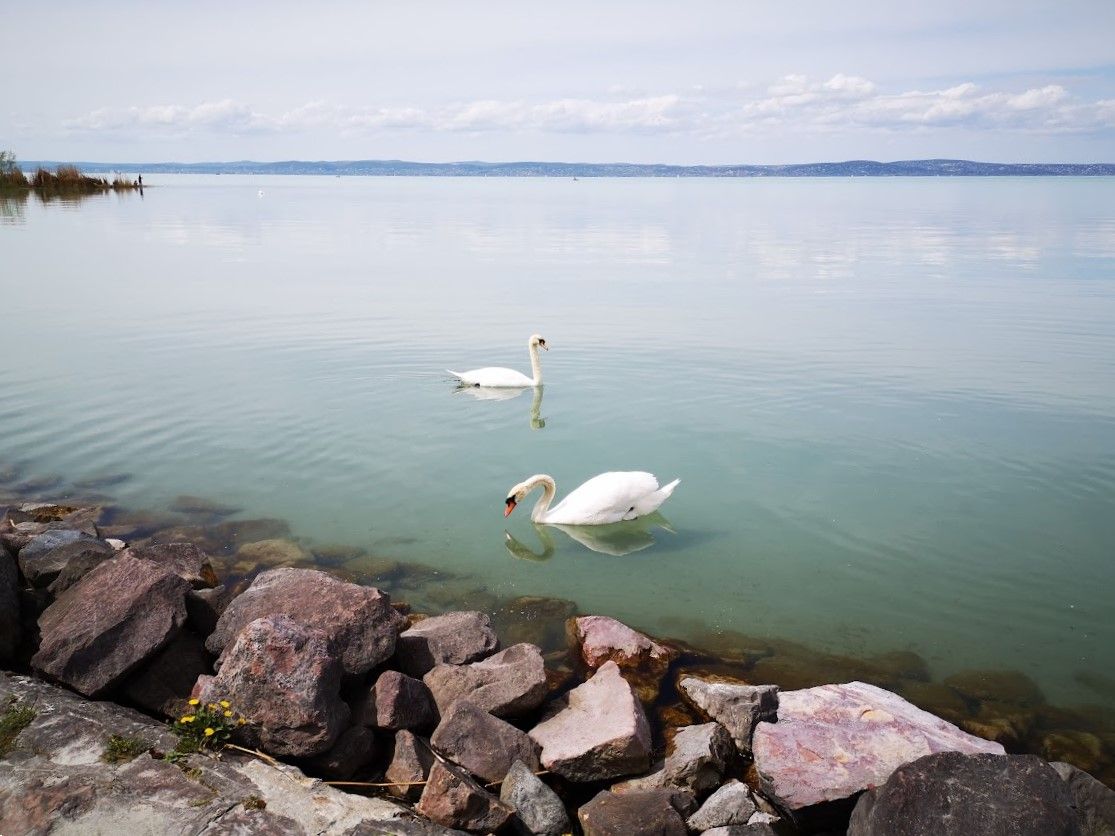 Algavirágzás helyett tiszta, átlátszó víz Siófoknál Fotó: MW