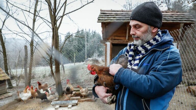 Folyamatos a küzdelem, történelmi léptékű a járvány hazánkban Fotó: Szendi Péter / Forrás: vaol.hu