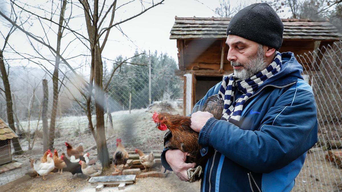 Folyamatos a küzdelem, történelmi léptékű a járvány hazánkban Fotó: Szendi Péter / Forrás: vaol.hu