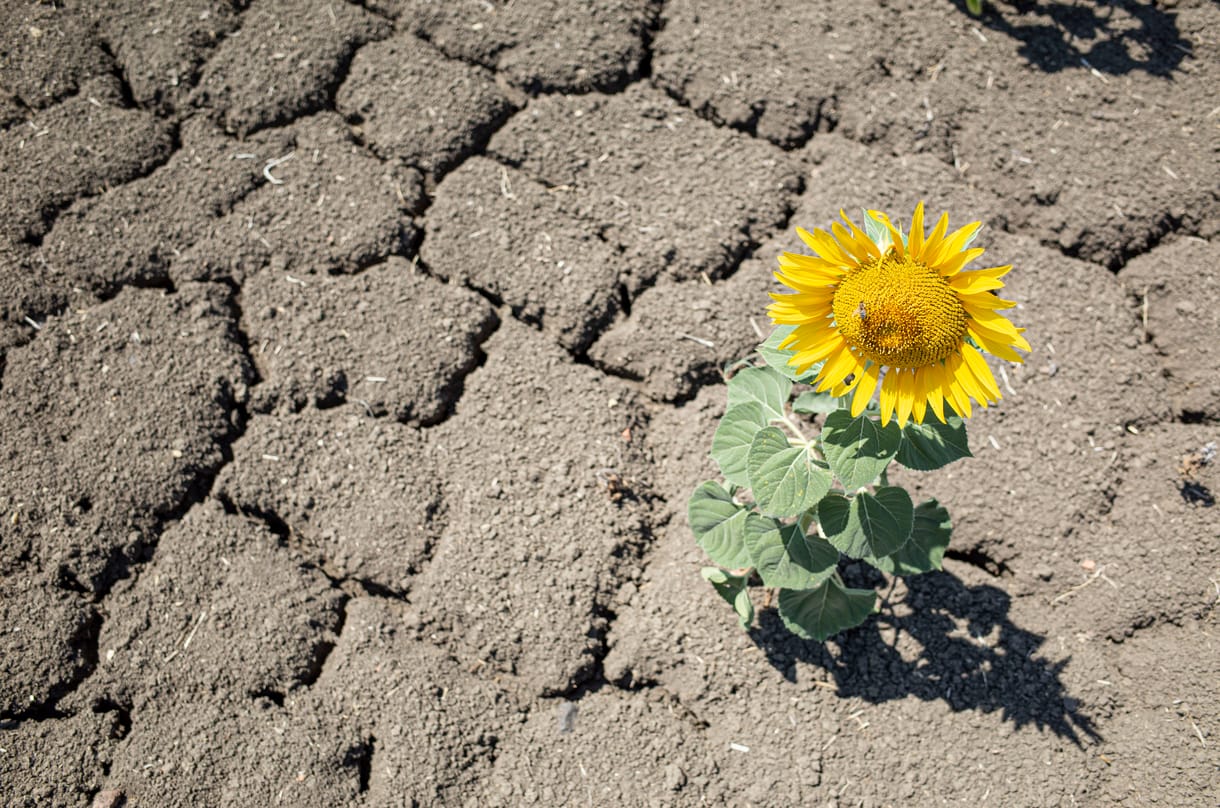 "Az üvegházhatású gázok felgyorsítják a felmelegedést, ezzel fokozva a párolgást és világszerte súlyosbítva az aszályokat."