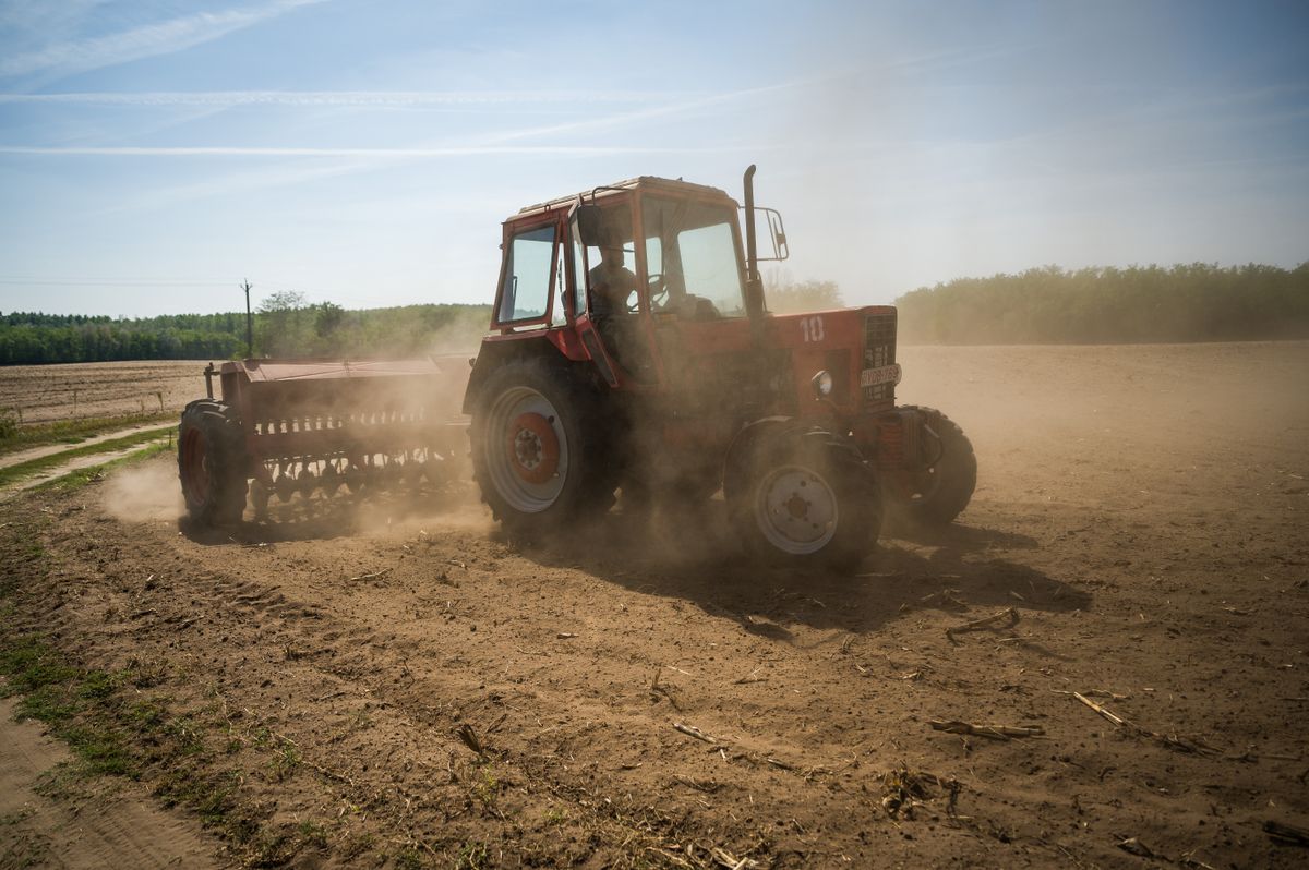 Súlyos aszály: életmentő volt a pénteki eső
