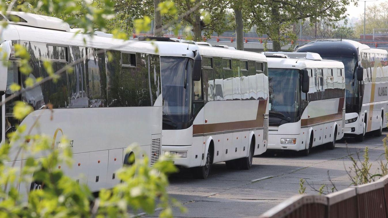 Buszjáratok a pécsi autobuszállomáson Fotó: Laufer László
