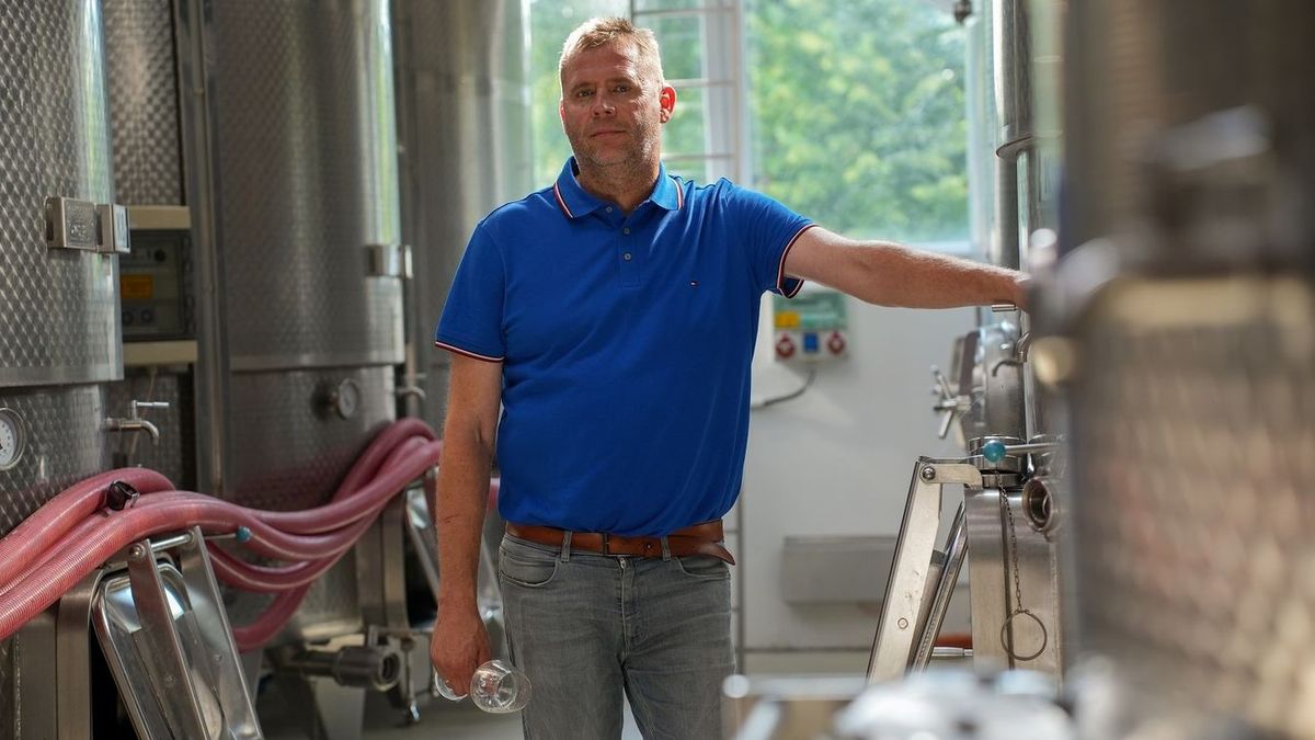 Urbán Péter, a szekszárdi Bodri Pincészet főborásza szerint fel van adva a borászoknak a lecke, nehéz a változó piaci trendet követni Fotó: Busák Attila / Forrás: Beküldött kép.