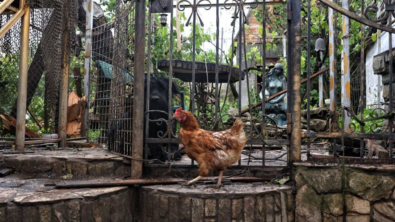 Az Európai Unió engedett a gazdák nyomásának, és megfékezi az ukrán élelmiszerek szabad beáramlását (illusztráció) Forrás: AFP