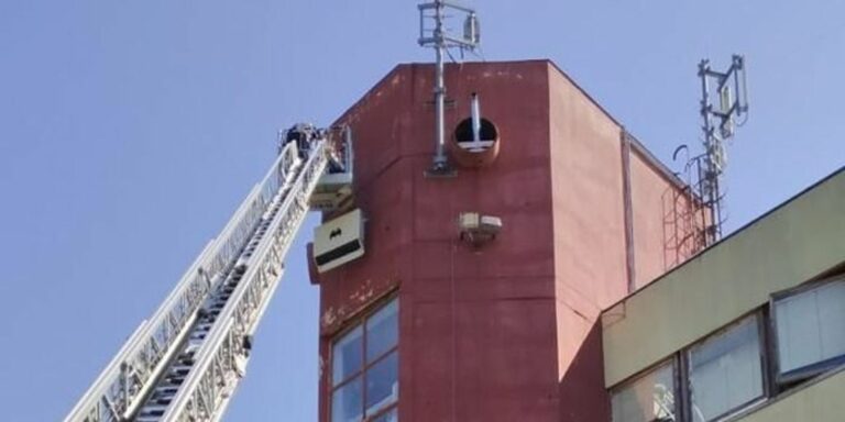 A városi denevérodúk segíthetik a házak szigetelése, felújítása miatt otthontalanná váló denevéreket, hiszen alternatív szálláslehetőséget biztosíthatnak több fajnak is olyan helyen, ahol nincsenek konfliktusok az emberekkel.