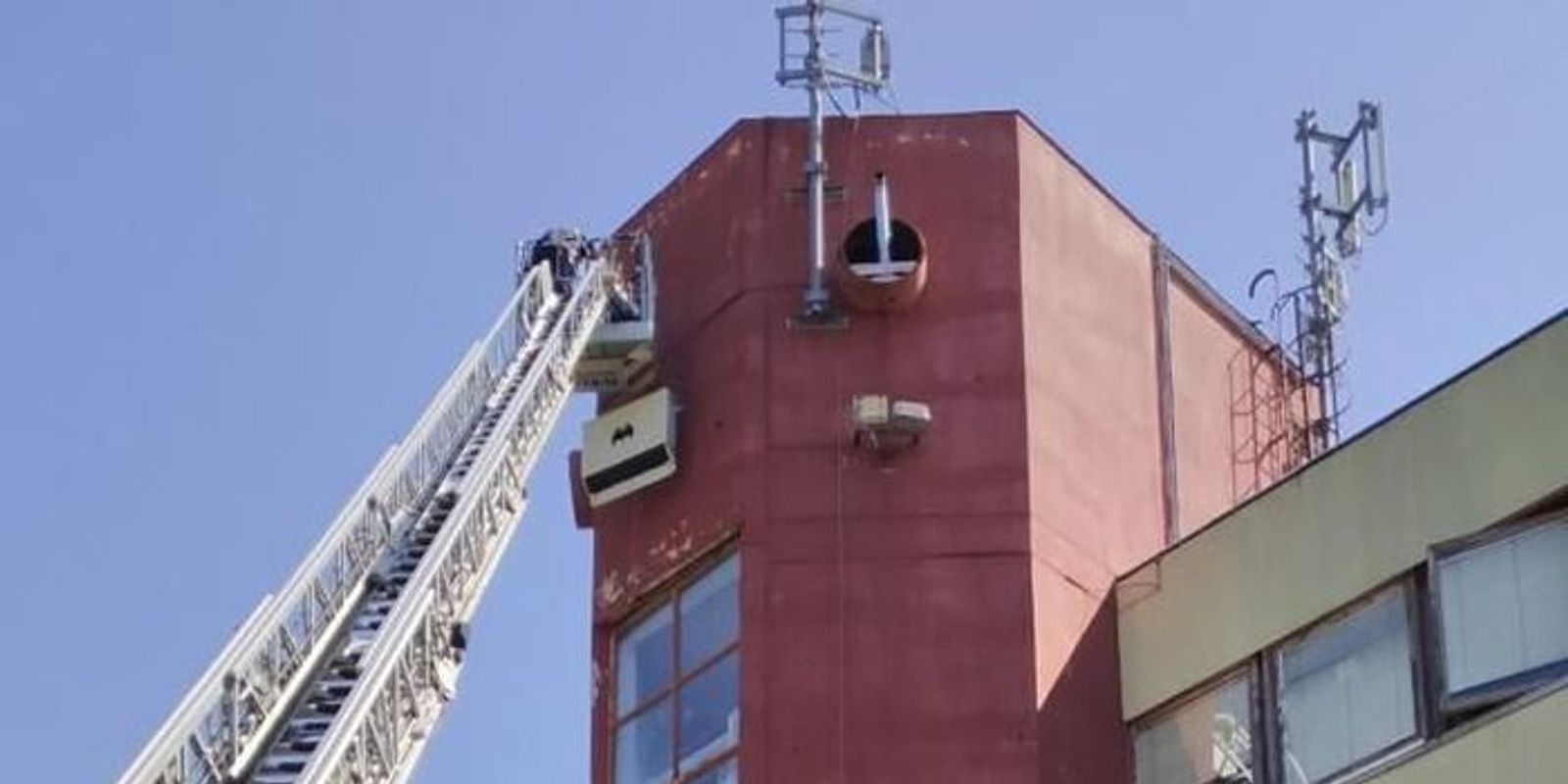 A városi denevérodúk segíthetik a házak szigetelése, felújítása miatt otthontalanná váló denevéreket, hiszen alternatív szálláslehetőséget biztosíthatnak több fajnak is olyan helyen, ahol nincsenek konfliktusok az emberekkel.