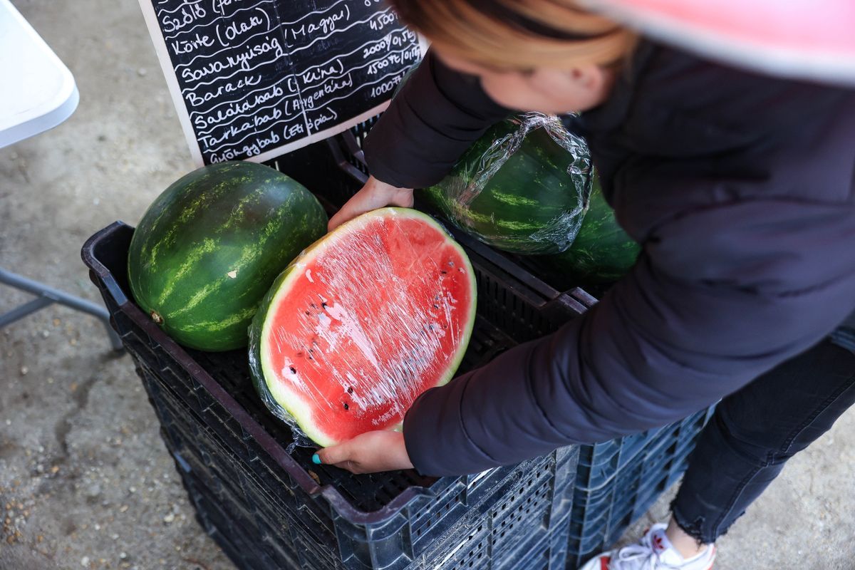 Idén később kezdődik a szabadföldi dinnye szezonja, reméljük annyival tovább tart majd Fotó: Mártonfai Dénes / Forrás: Tolnai Népújság