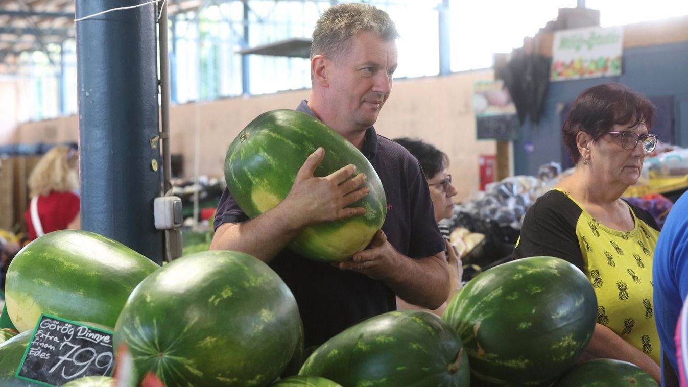 A dinnye választás fogós kérdés Fotó: Lang Róbert