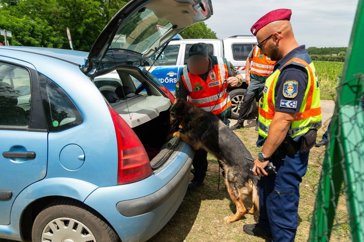 Drogtörvény: Somogyban már meg is indult az akció Fotó: Gazdag Mihály