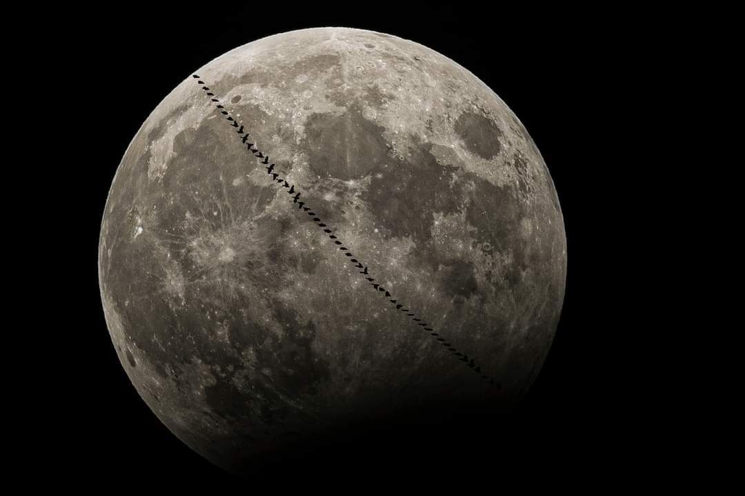 Az eperhold különleges jelentőséggel bír. Fotó: Makovics Kornél