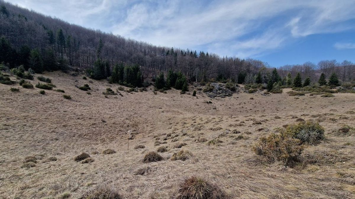 Hideg volt a Mohos-töbörben, mínusz öt volt majdnem Forrás: Mohos-töbör mikroklíma kutatás/Facebook